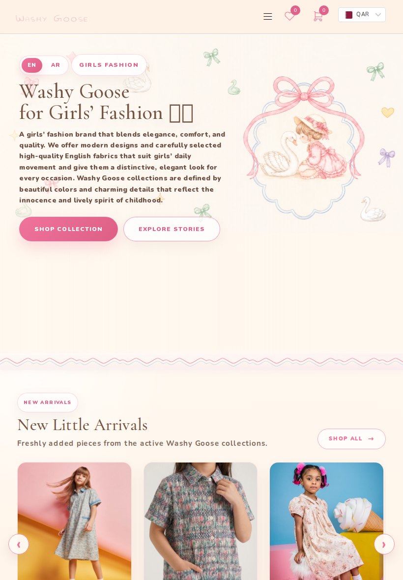 Washy Goose Home Tablet website screenshot